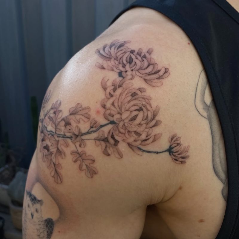 Fine Line Chrysanthemum