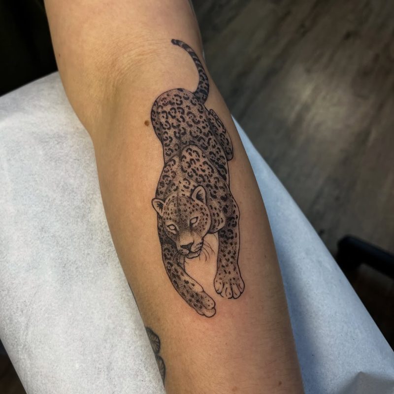 Leopard Outline