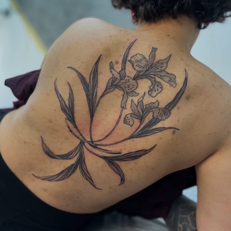 Floral Fine Line