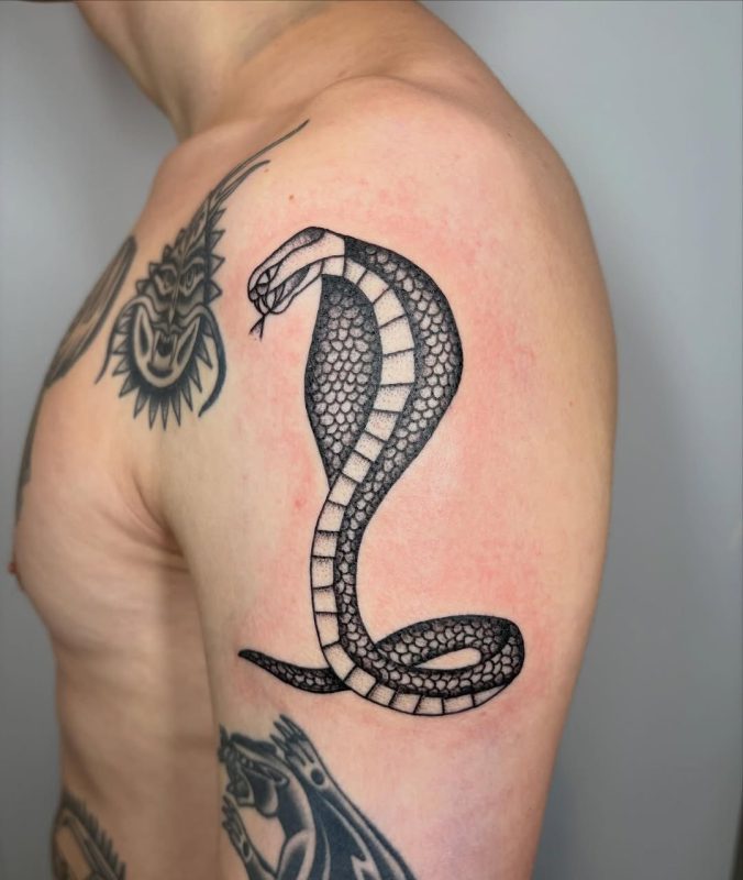 Black Gray Cobra