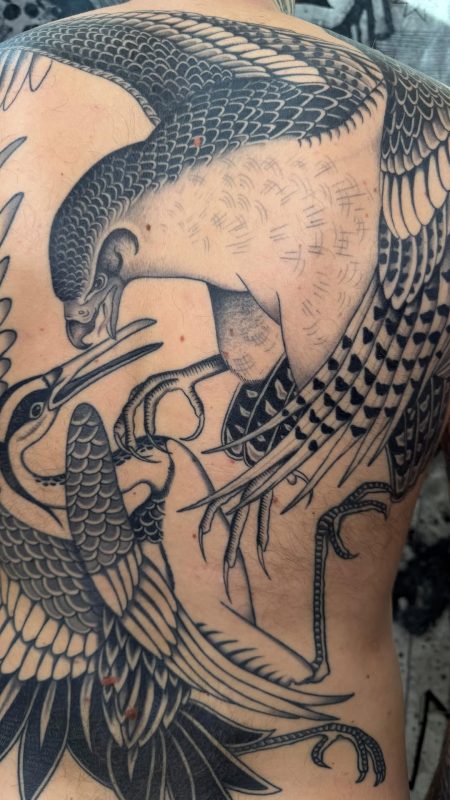 Japanese Bird Battle