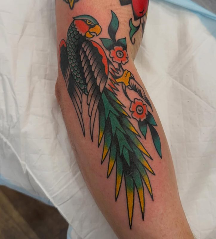 Traditional Parrot