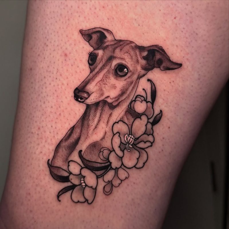 Dog Portrait
