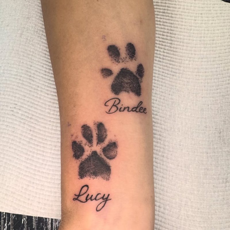 Paw Prints Script