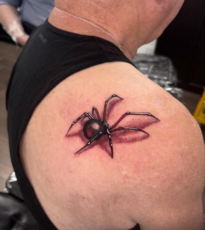 Realistic Spider