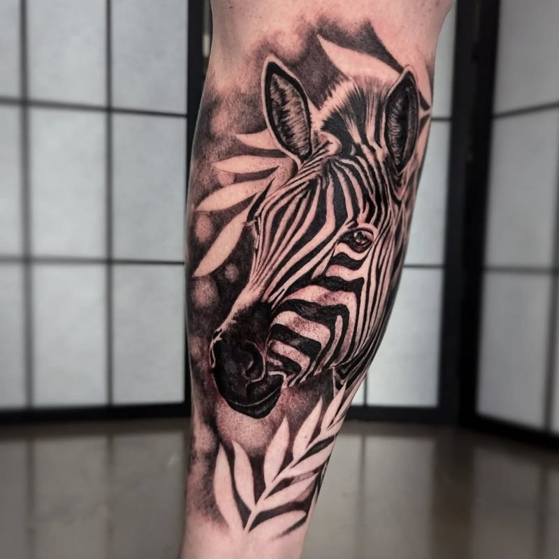 Zebra Portrait