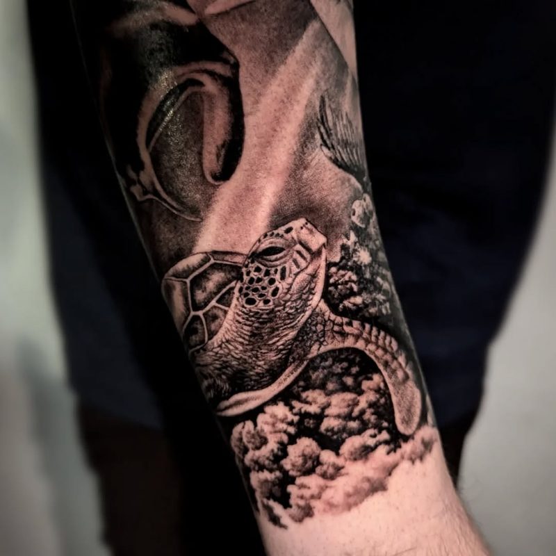 Sea Turtle
