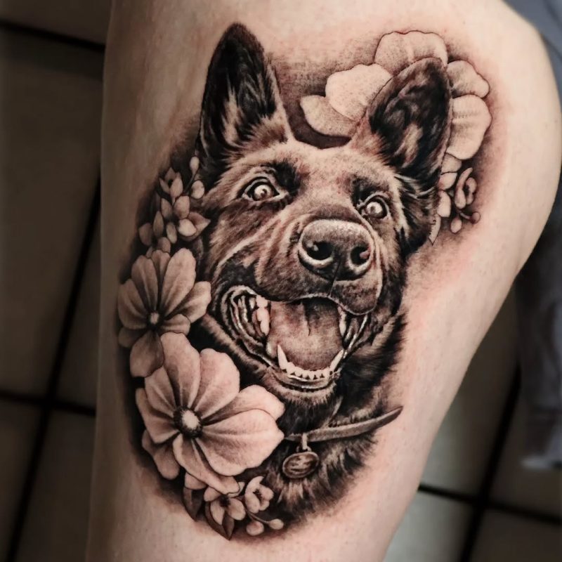 Dog Portrait
