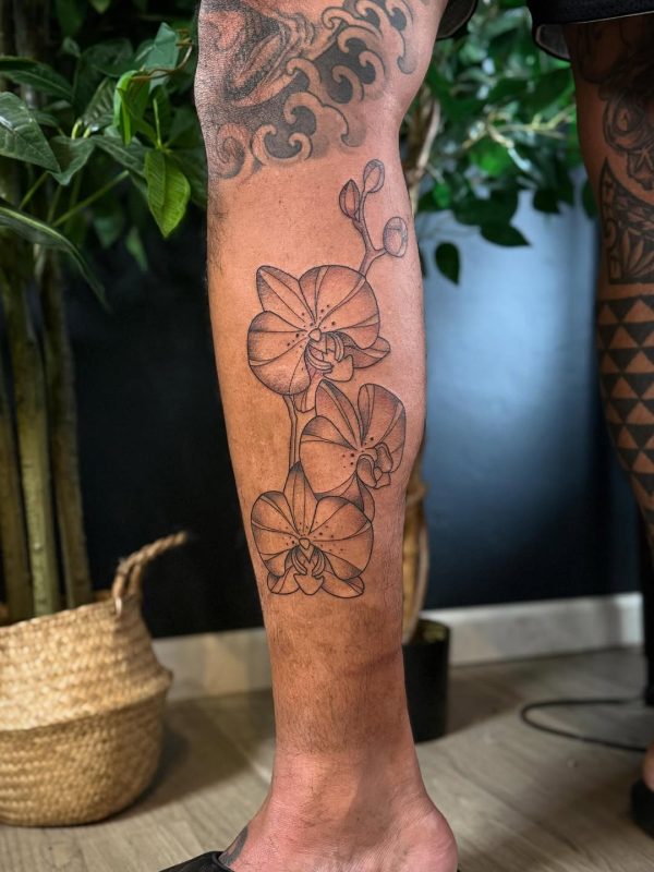 Orchid Outline