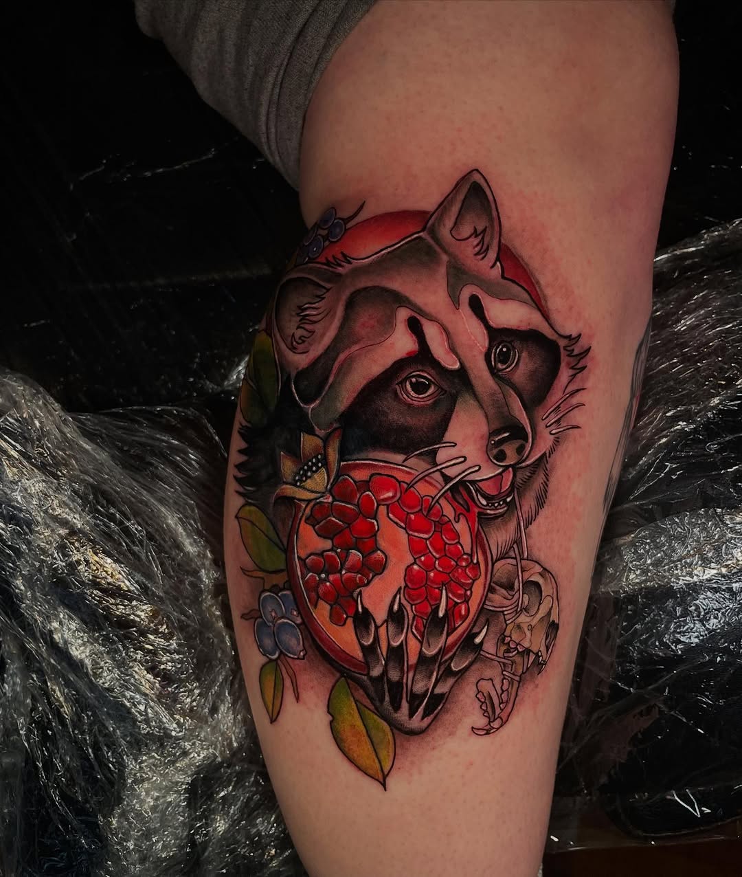 Raccoon and Pomegranate