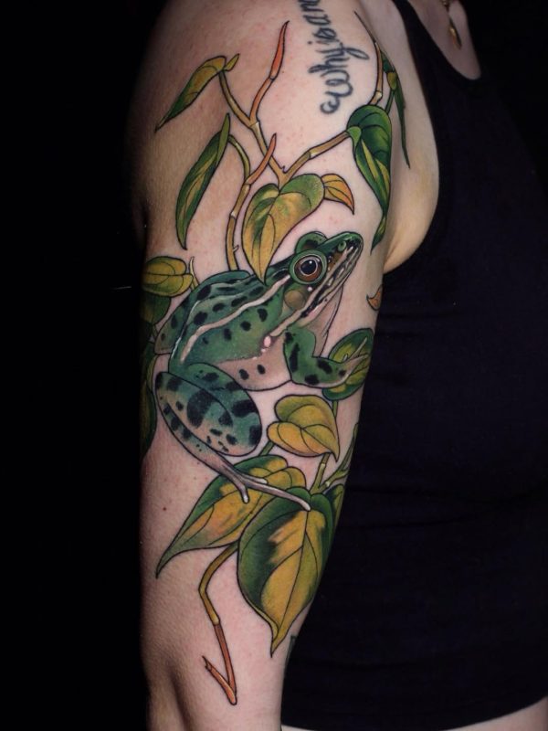 Realistic Frog