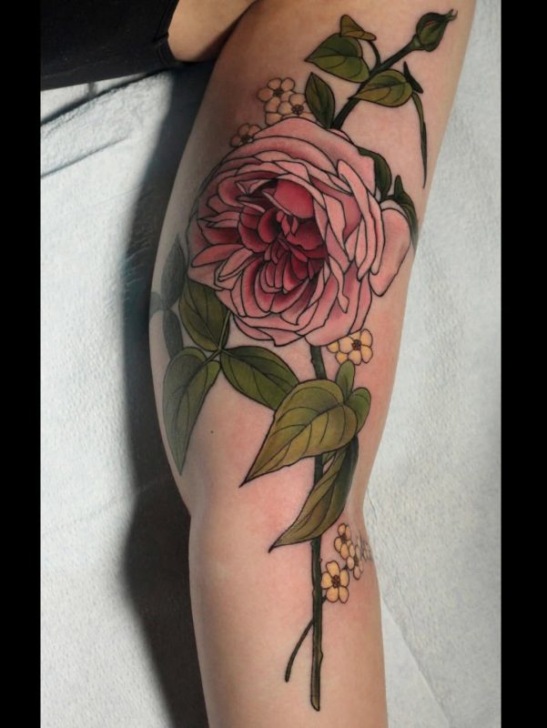 Pink Rose Stem