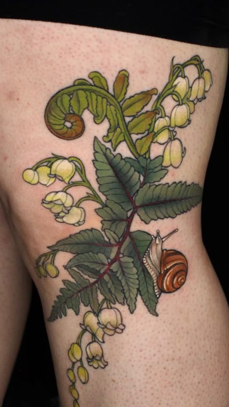 Fern and Snail