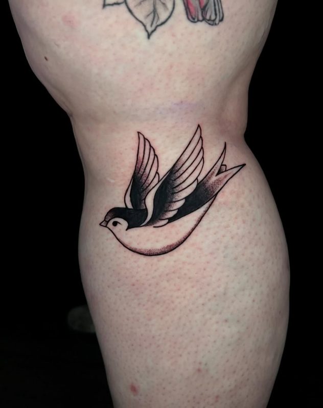 Flying Swallow