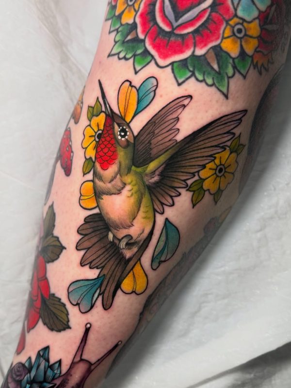 Colorful Hummingbird