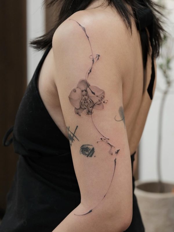 Delicate Octopus
