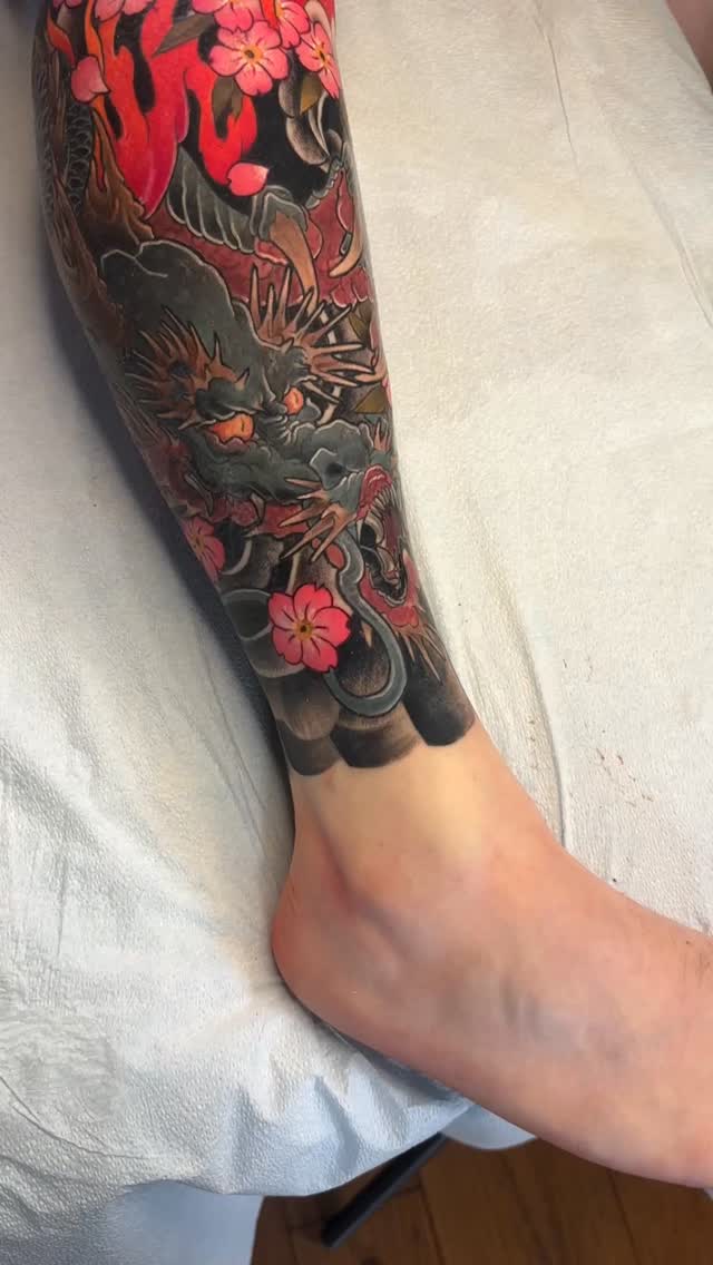 Dragon Cherry Blossoms