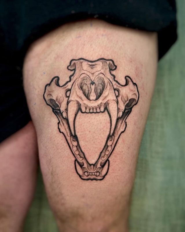 Animal Skull