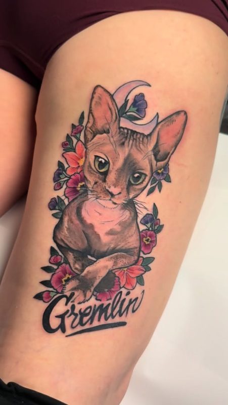 Cat Portrait