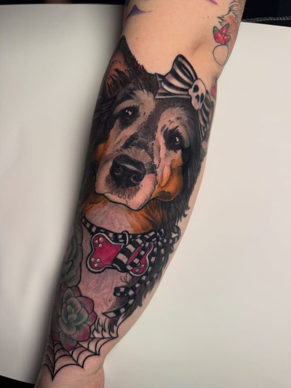 Dog Portrait