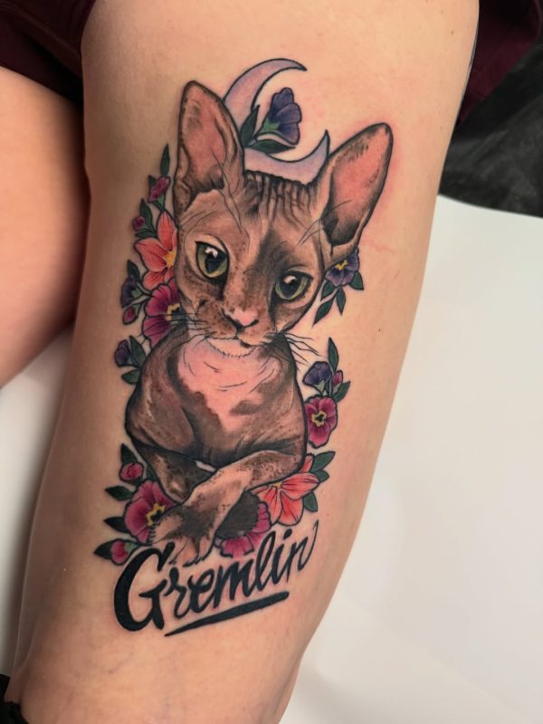 Realistic Cat Portrait