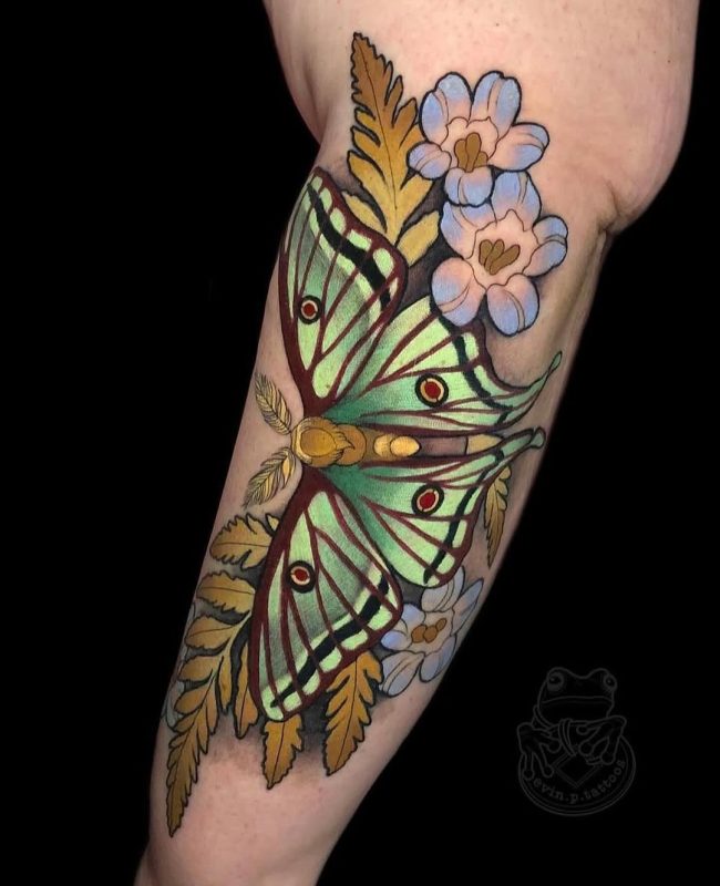 Butterfly and Flowers