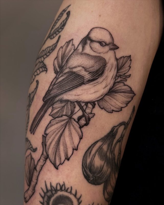 Bird on Branch