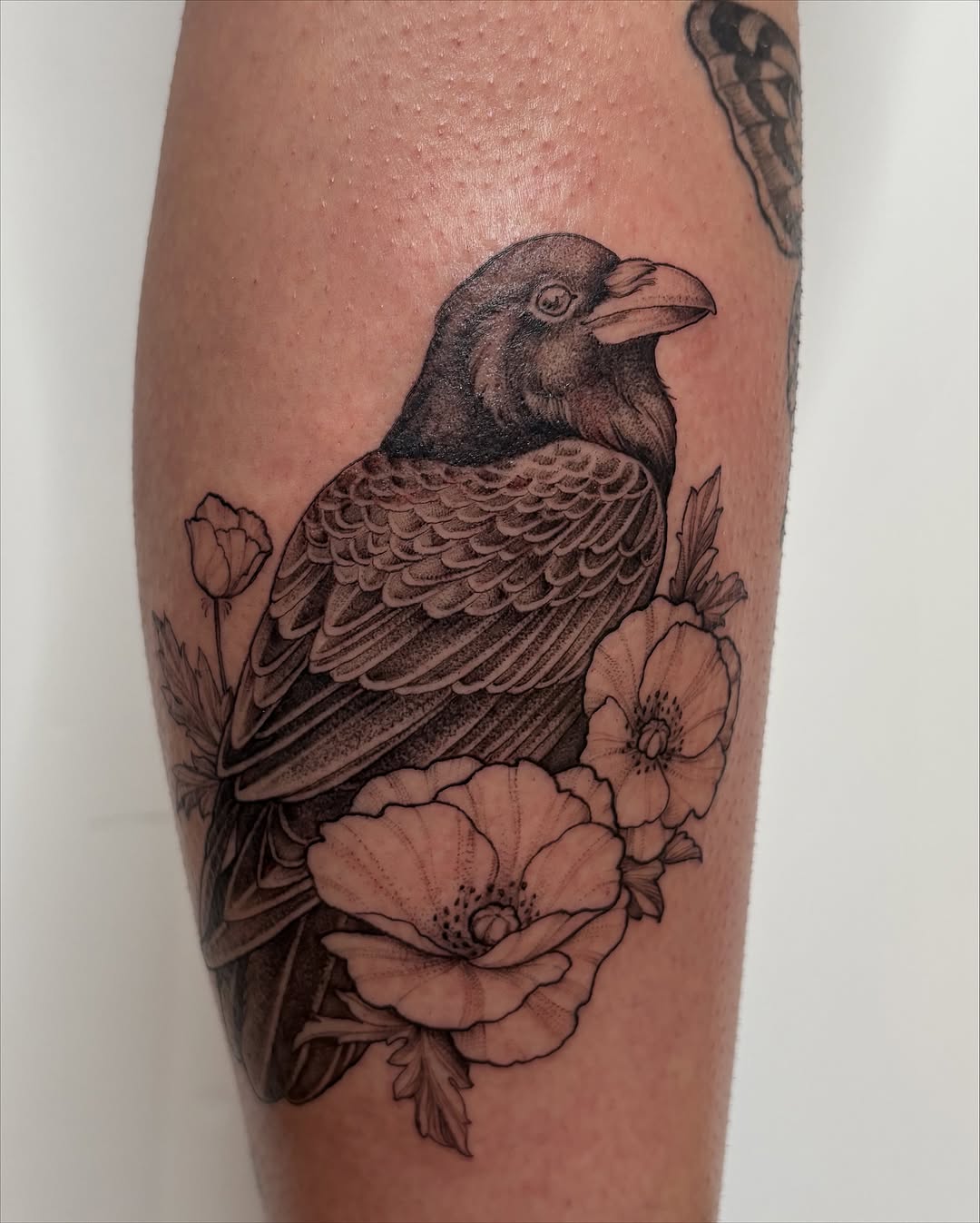 Raven and Poppies