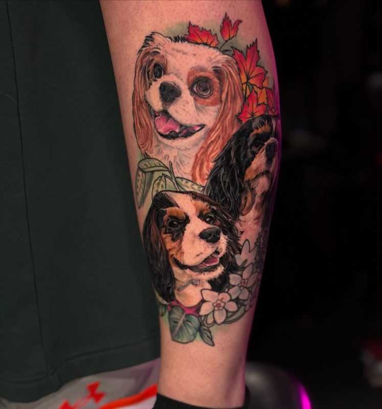 Dog Portraits