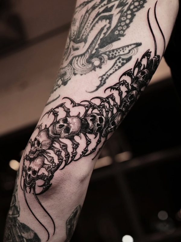 Skull Centipede