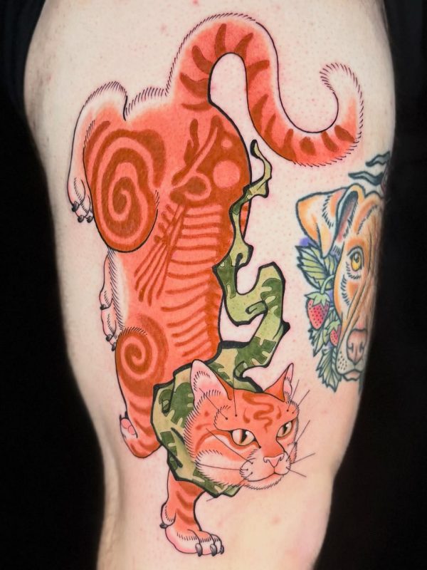 Orange Cat