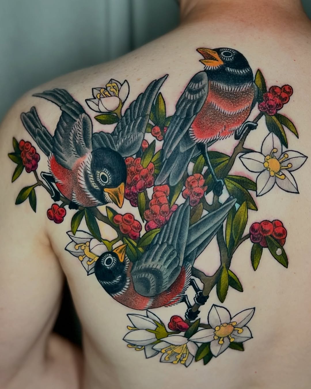 Birds and Blossoms