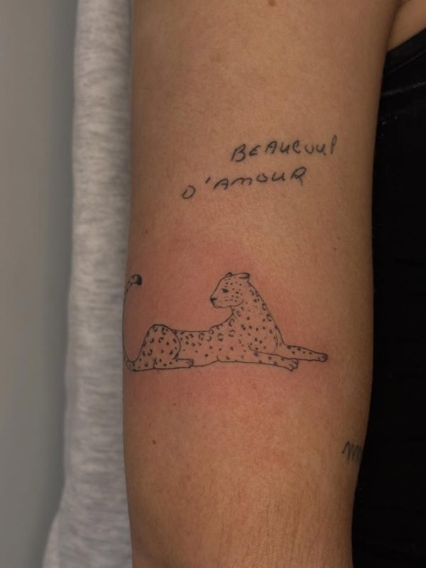 Leopard Outline