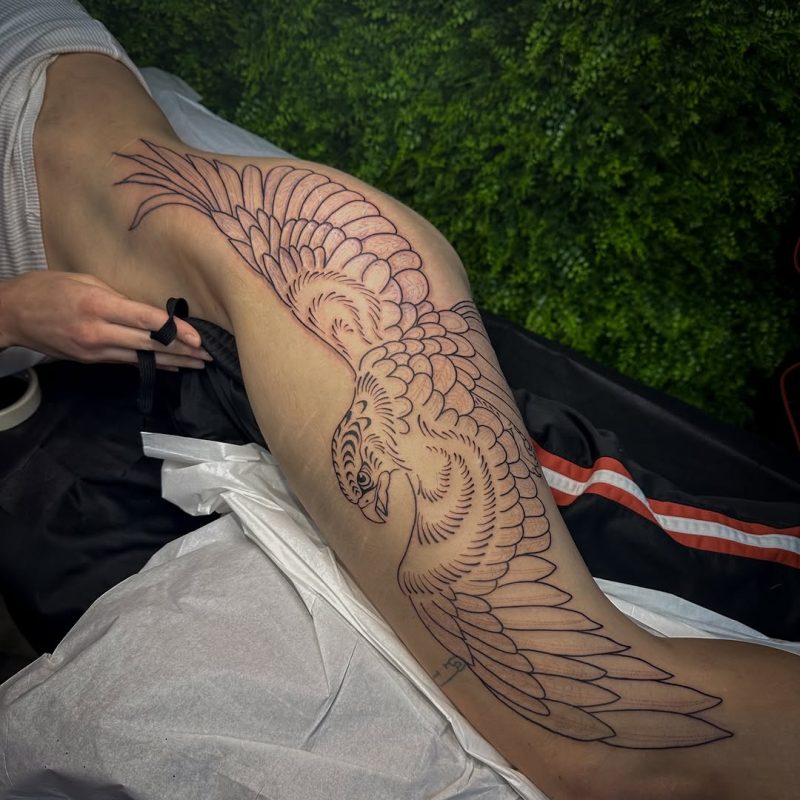 Flying Hawk Outline