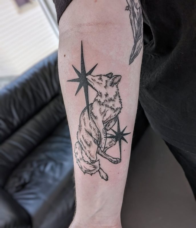 Fox and Stars