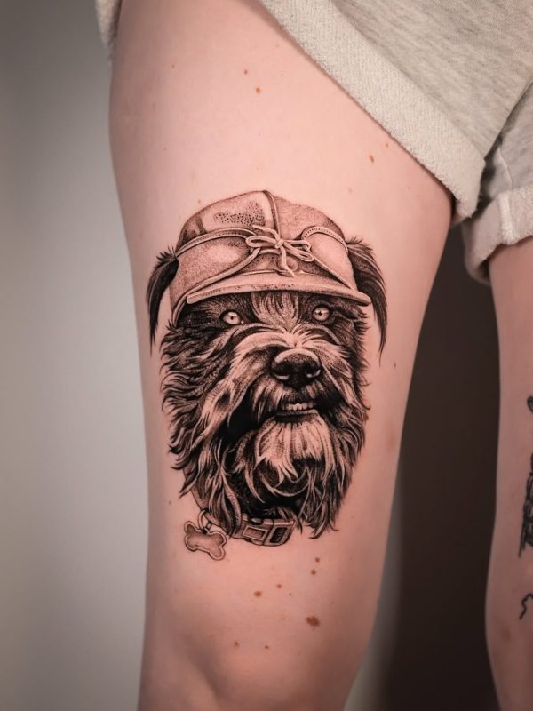 Dog Portrait