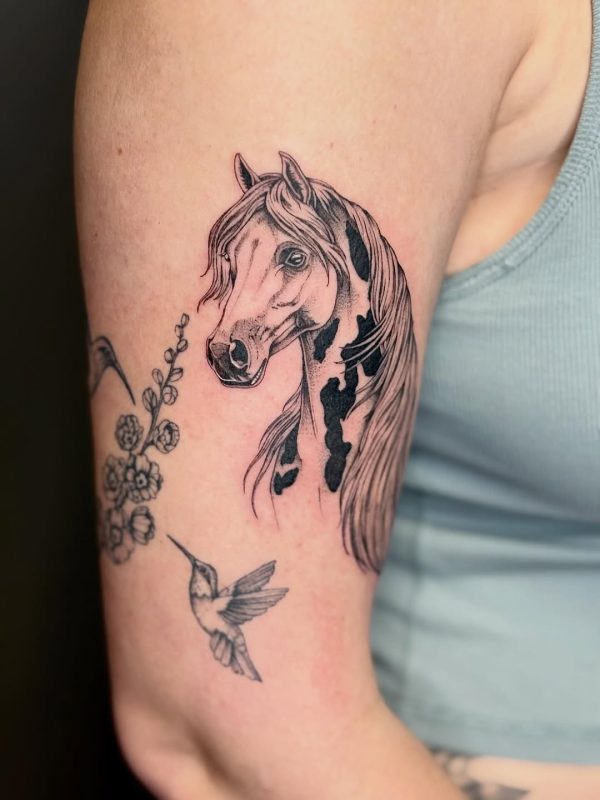 Horse and Hummingbird