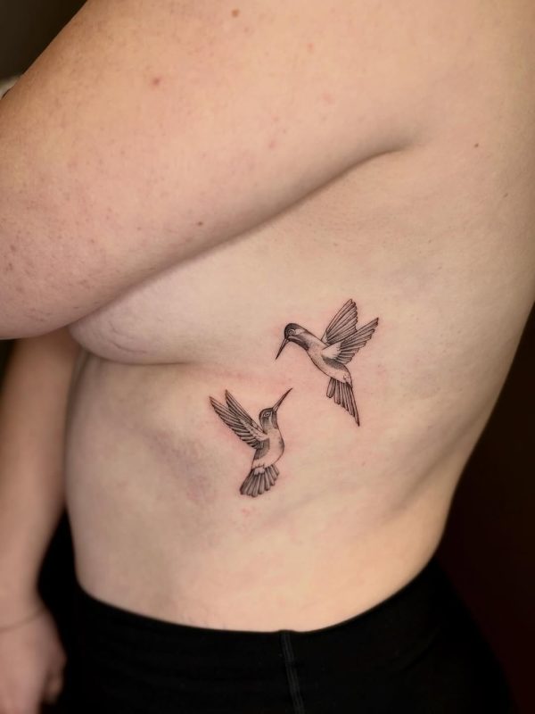 Hummingbird Duo