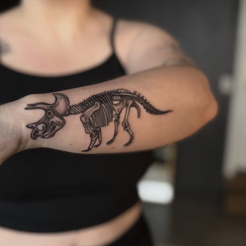 Dinosaur Skeleton