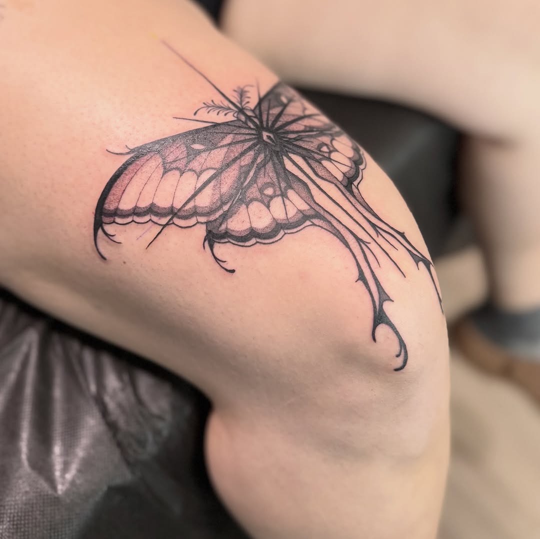 Black Gray Butterfly