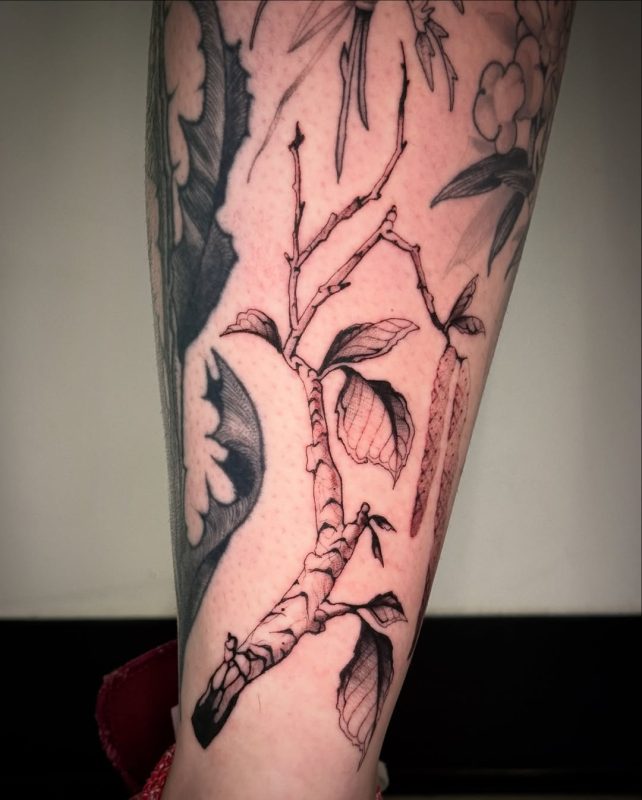 Botanical Branch