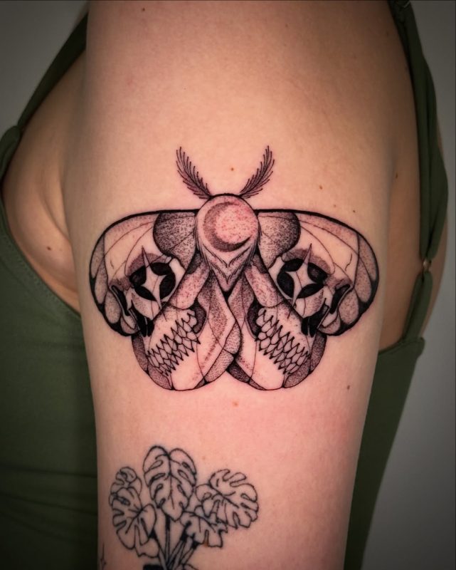 Skull Moth