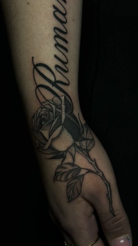 Script Rose