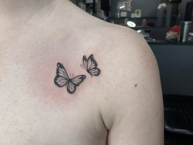 Butterfly Duo