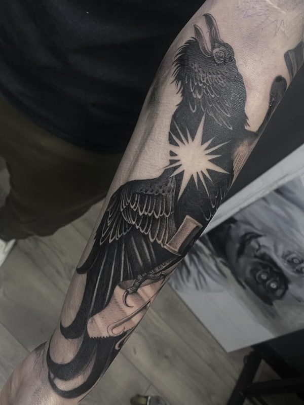 Black Gray Raven
