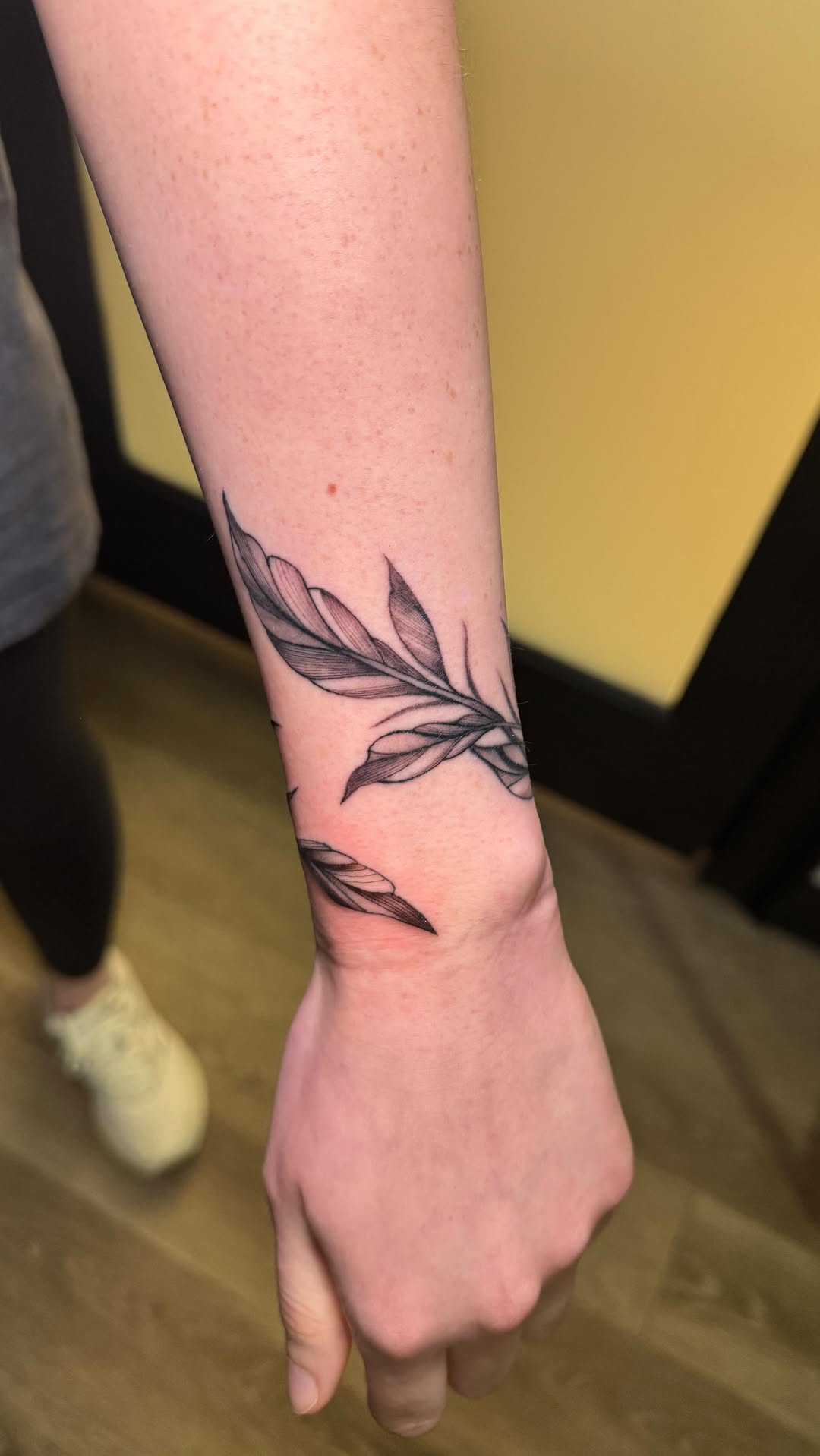 Feather Fine Line