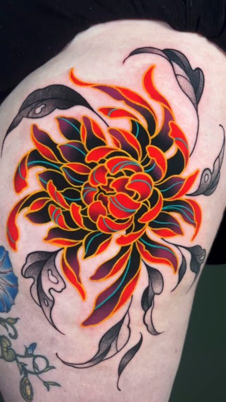 Flaming Chrysanthemum