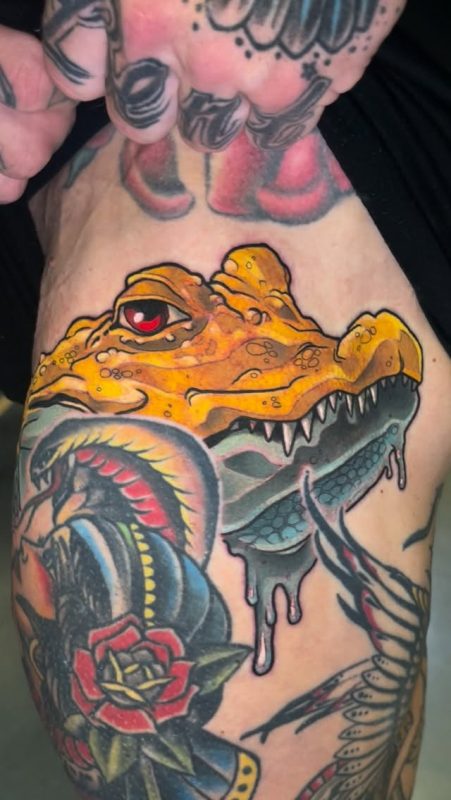 Alligator Head