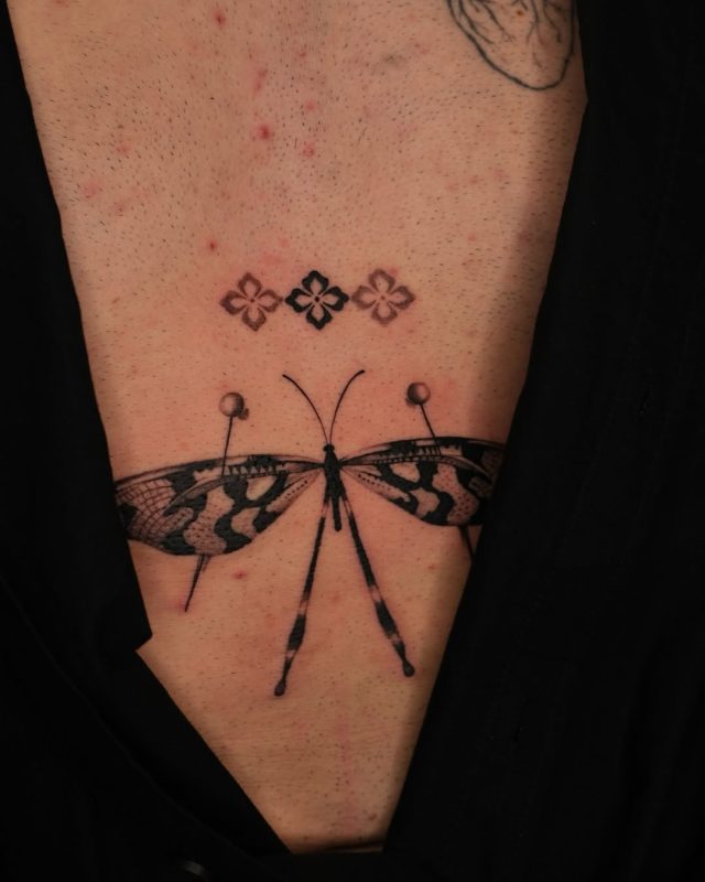 Pinned Insect