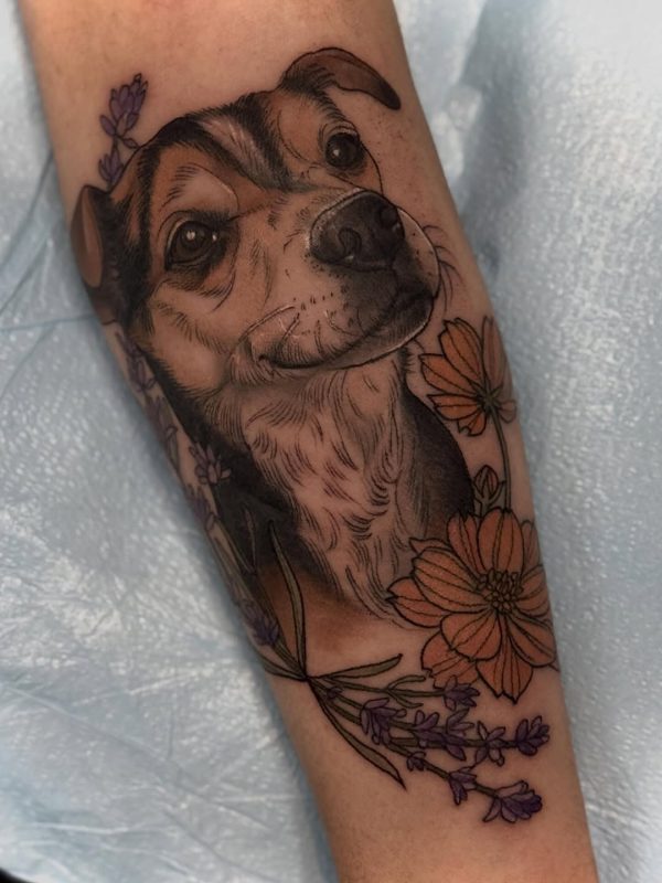 Dog Portrait